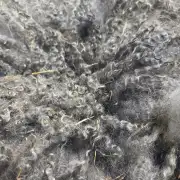Gotland fleece - whole image 3