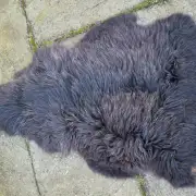 Hebridean Sheepskin image 5