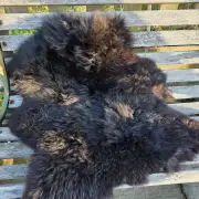 Hebridean Sheepskin (small) image 1