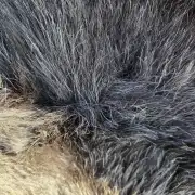 Hebridean Sheepskin image 4