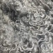 Gotland fleece - whole image 4