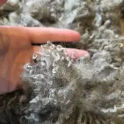 Gotland lambswool 324g image 3