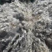 Gotland fleece - whole image 8