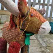 Tweed Heilan Coo image 13