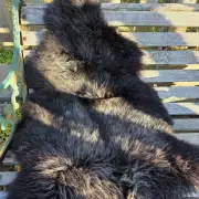 Hebridean Sheepskin image 1