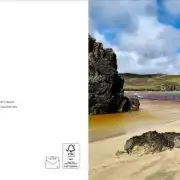 Greetings cards pack of 6 - summer image 3