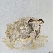 Mini Original Watercolour of Frosty the icelandic and lamb image 1