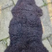 Mule Sheepskin image 4