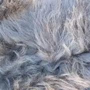 Hebridean Sheepskin image 3