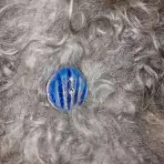 Felted wool collar - gotland image 2