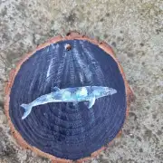 Minke whale on wood slice image 1