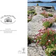 Greetings cards pack of 6 - summer image 7