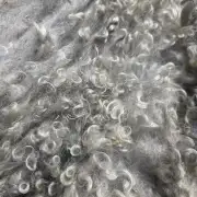 Gotland fleece image 2