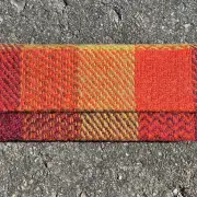 Glasses case image 1