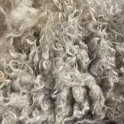 Gotland fleece image 3