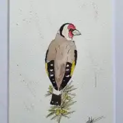 Mini Original Watercolour of a goldfinch image 1