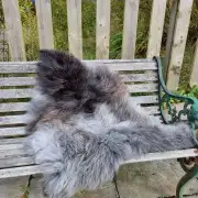 Herdwick Sheepskin image 1