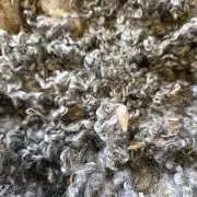 Gotland fleece 680g image 2