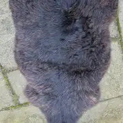 Hebridean Sheepskin image 3