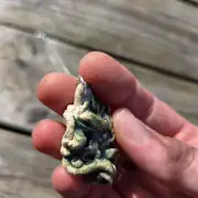 Ceramic Necklace seaweed tangle image 7