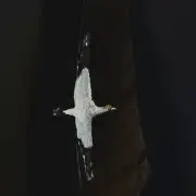Gannet painted on a goose feather image 2