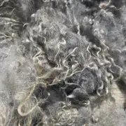 Gotland fleece - whole image 4