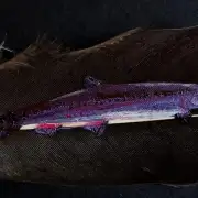 Salmon painted on a goose feather image 1