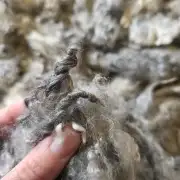 Gotland lambswool 622g image 4
