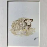 Mini Original Watercolour of Frosty the icelandic and lamb image 2