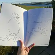 A Crofters Colouring Book image 3