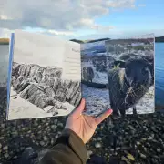 A Crofter's Year image 4