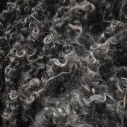 Gotland fleece - whole image 7