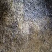 Herdwick Sheepskin image 3