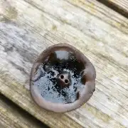 Ceramic button rockpool image 1