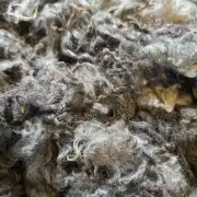 Gotland lambswool 662g image 2