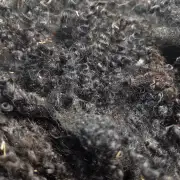 Gotland fleece - whole image 3