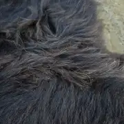 Hebridean Sheepskin image 8