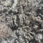 Gotland fleece image 7