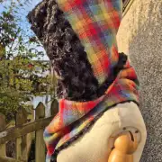 Amor Tweed Hooded scarf image 1