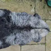 Herdwick Sheepskin image 3