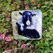 Coaster - sheep image 1