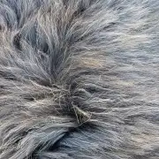 Hebridean Sheepskin image 6