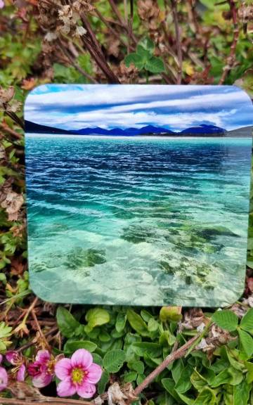Coaster - Seilebost beach
