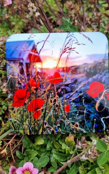 Coaster - poppies
