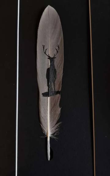 Painted Feathers