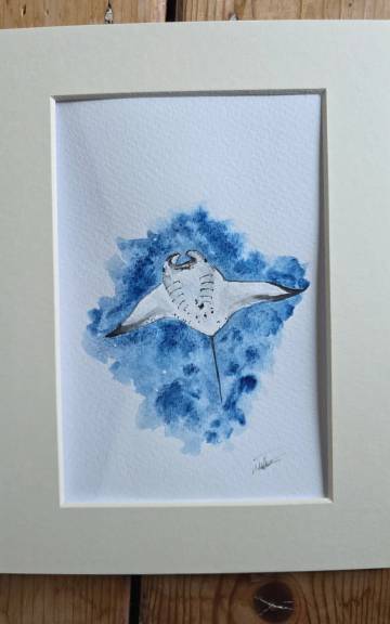 Mini Original watercolour of a manta ray