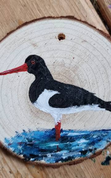 Oyster catcher on wood slice