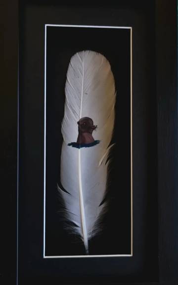Otter painted on a goose feather