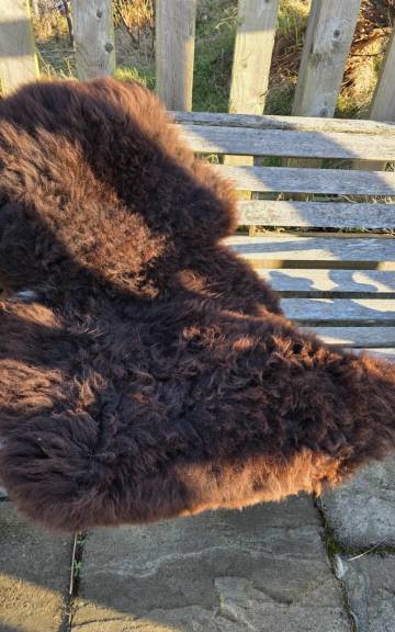 Mule Sheepskin