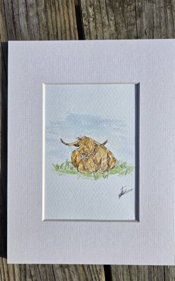 Mini Original watercolour of a heiland coo
